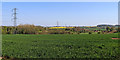 SO7999 : Shropshire farmland east of Stanlow by Roger  D Kidd