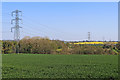 SO7999 : Farmland east of Stanlow in Shropshire by Roger  D Kidd