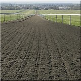 TL6563 : View down a Polytrack gallop on Warren Hill in Newmarket by Richard Humphrey