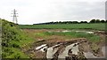 Field near Oakmere Park Golf Club