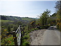 Lane down Pant Hill with great views