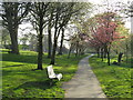 NZ3955 : Spring colour in Backhouse Park, Sunderland by Malc McDonald