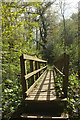 SX7873 : Footbridge over Lemon, Goodstone Woods by Derek Harper