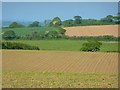 SW9444 : Farmland, Cuby by Andrew Smith
