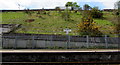 Grassy bank above Bargoed railway station