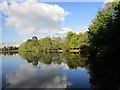 Hartsholme Lake