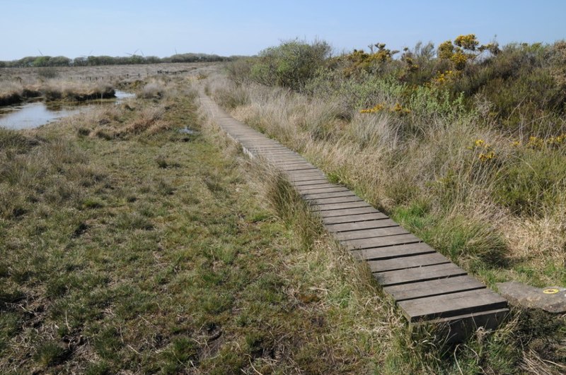 Duckboards on Goonhilly Downs © Philip Halling cc-by-sa/2.0 :: Geograph ...