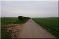 Lane leading towards the A1173