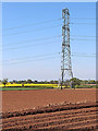 Pylon and potato field south of Albrighton in Shropshire