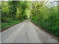 Country road near St Keverne