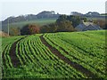 Farmland, St Austell Bay