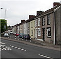 Bryngwyn Street houses, Fleur-de-lis