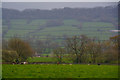 East Devon : Grassy Field