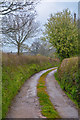 East Devon : Track