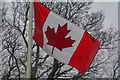 East Devon : Wolford Chapel - Canadian Flag