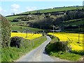 Carrickrovaddy Road approaching the cross roads with Glen Road