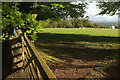 Field near Rose Cottage