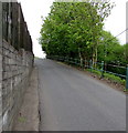 Wall, fence and railings, Fleur-de-lis