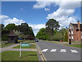 Zebra crossing in Octagon Road