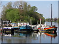 Moorings on River Thames at Isleworth