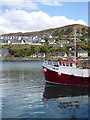 NM6797 : A fishing boat in Mallaig Harbour by Rod Allday