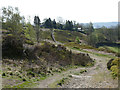 Path to Crag Top