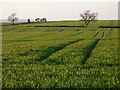 Farmland, Caldwell