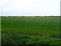 SD3705 : Crop field near Bridgefoot Farm by JThomas