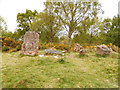 NH6244 : Leachkin neolithic chambered cairn by Douglas Nelson