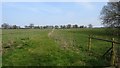 Fields near Wood Farm