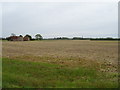 Farmland near Bradley