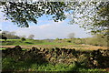 Farmland at Knockbrex