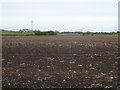 Flat field near Brooklands Farm