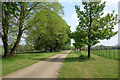 SP3727 : Road to Little Tew Grounds Farm by Des Blenkinsopp