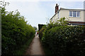 Path leading to Cottagers Plot, Laceby