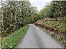 NO0231 : Road between Saddlebank and Drumharrow by Peter Wood