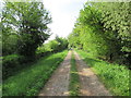 Track to Chaddesley Wood from the A448