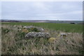 Stones from Mains of Hatton stone circle