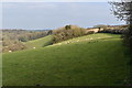 Sheep grazing above Tubbs Mill