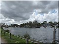 View of the River Thames at the bottom of Vicarage Lane