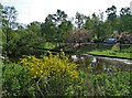 Lake at Sherwood Forest Caravan Park