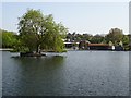 Boating Lake in Helston