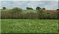 Parrett valley