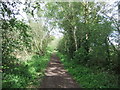 A quiet rail trail