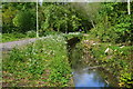 Path on former canal and railway route, near Rooksbury Mill