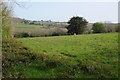 SW6234 : Field opposite Clowance Wood by Philip Halling