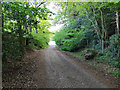 Footpath towards Marley Lane