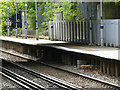 Fox at Falconwood station