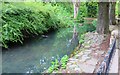 The Pond, Letham Glen