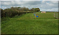 Pasture near Haselbury Plucknett